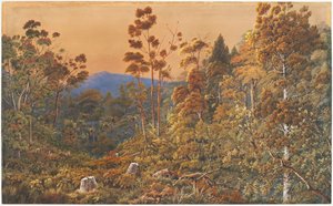Una sera dorata, Isola Waiheke da Alfred Sharpe